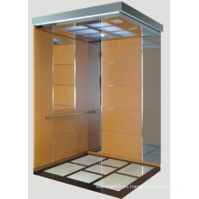 Simple Fashion Vvvf Pasajero Lift / Elevator en venta